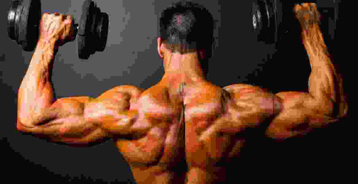 Muscle Build Pro